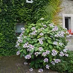 호텔 Westfalenhof Garni