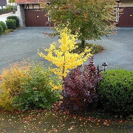 Hotel Westfalenhof Garni Willingen (Upland)