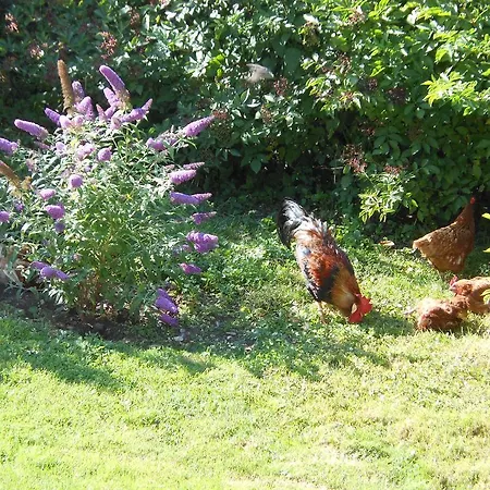 Westfalenhof Garni Hotel