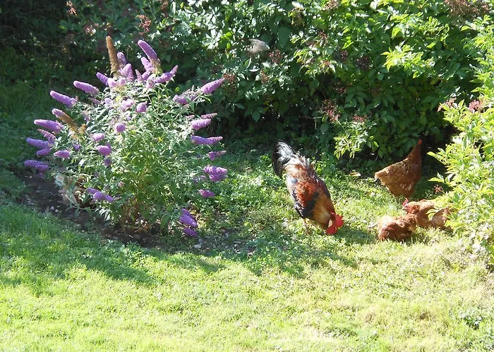 Westfalenhof Garni Szálloda